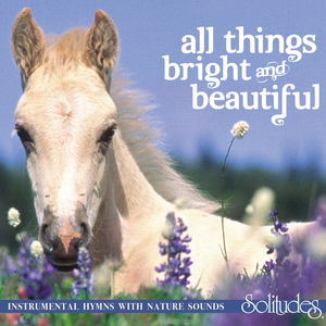 美女和老板在努力生孩子视频
