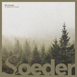 美女和老板在努力生孩子视频
